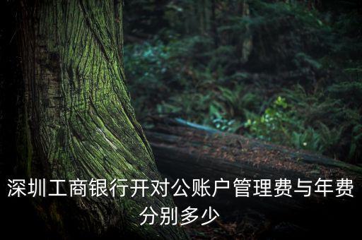 深圳工商銀行開對(duì)公賬戶管理費(fèi)與年費(fèi)分別多少