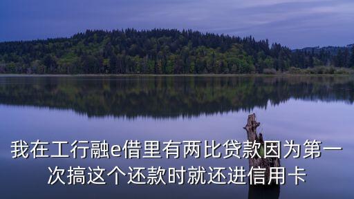 我在工行融e借里有兩比貸款因?yàn)榈谝淮胃氵@個(gè)還款時(shí)就還進(jìn)信用卡