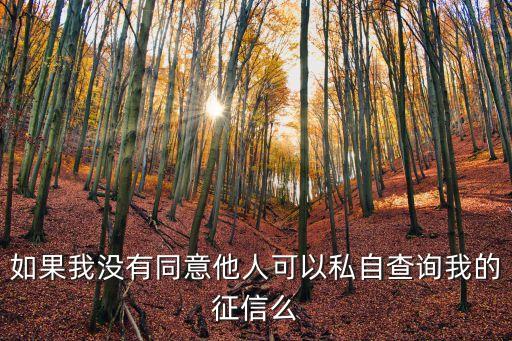 如果我沒有同意他人可以私自查詢我的征信么
