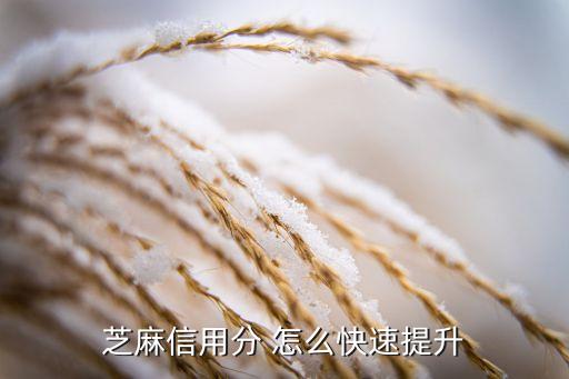 怎么讓信用分快速上分，芝麻信用分 怎么快速提升