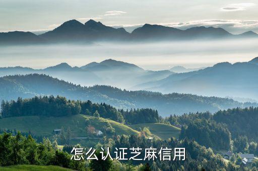 網(wǎng)貸怎么認(rèn)證芝麻信用卡，貸款支付寶要怎么認(rèn)證啊