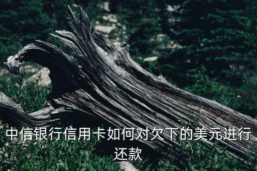 中信銀行信用卡如何對欠下的美元進行還款