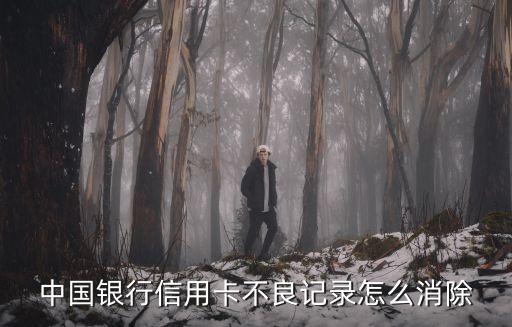 怎么消除中行不良記錄，中國銀行銀行卡有不良記錄怎麼消除記錄