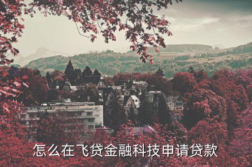 怎么在飛貸金融科技申請(qǐng)貸款