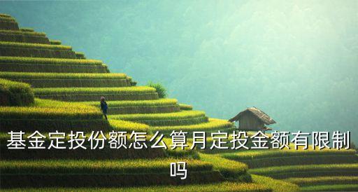 基金定投份額怎么算月定投金額有限制嗎