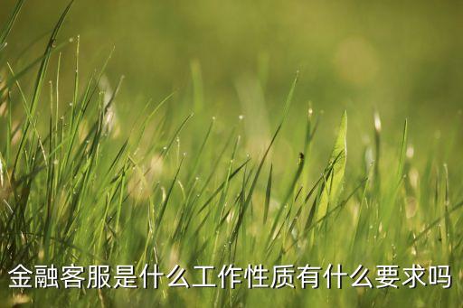 金融客服是什么工作性質(zhì)有什么要求嗎
