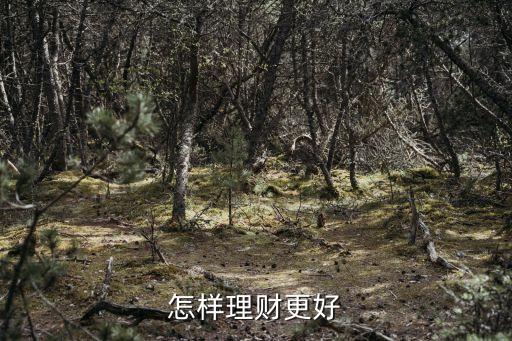 錢多了怎么理財最好，有錢怎么去理財