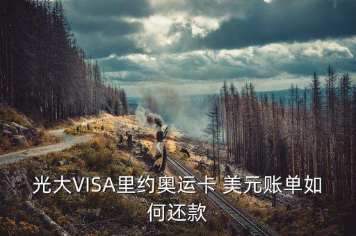 光大VISA里約奧運(yùn)卡 美元賬單如何還款