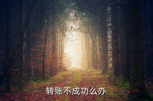 轉(zhuǎn)賬不成功么辦