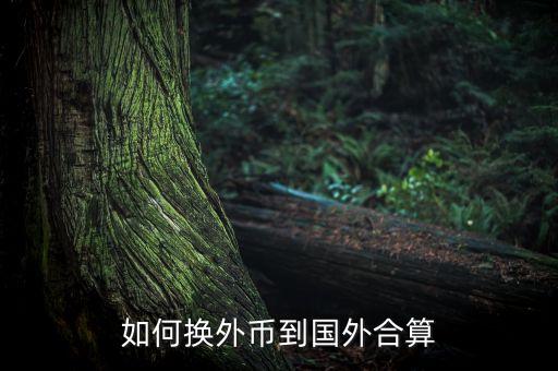 如何換外幣到國外合算