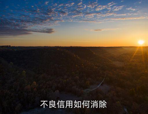 有不良記錄怎么消除，怎么樣消除不良信用記錄