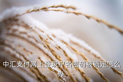 中匯支付被凍結(jié)怎么辦，我用中匯的易刷寶被凍結(jié)了怎么辦