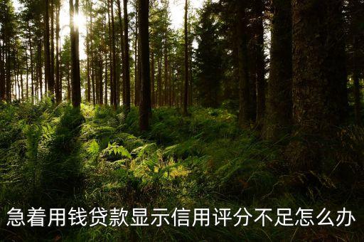 急著用錢貸款顯示信用評分不足怎么辦