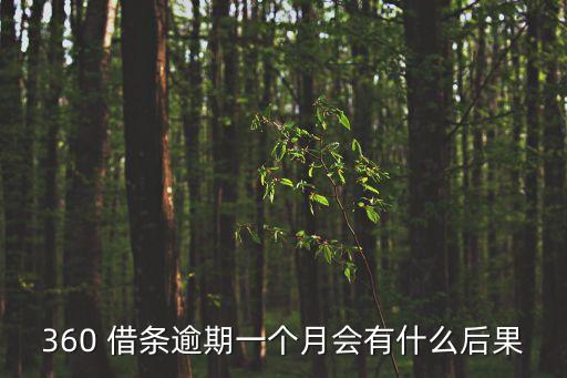 360 借條逾期一個月會有什么后果