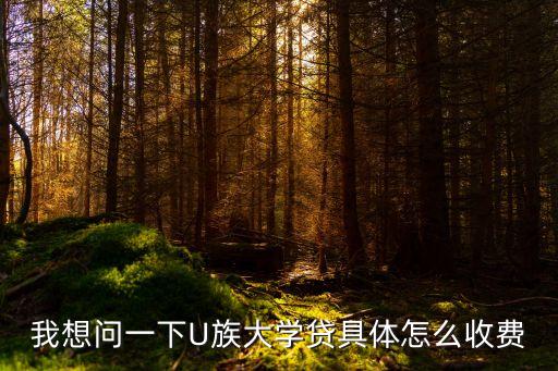 我想問一下U族大學貸具體怎么收費