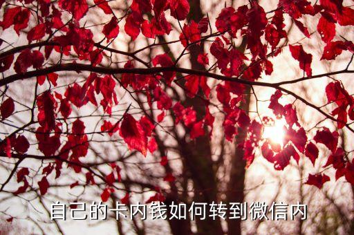 自己的卡內錢如何轉到微信內