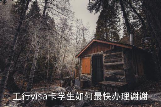 工行visa卡學(xué)生如何最快辦理謝謝