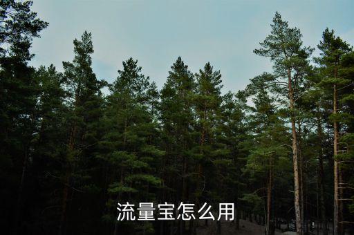 流量寶怎么用