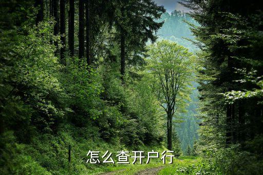 怎么查開戶行