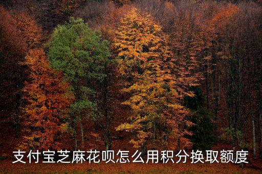 螞蟻積分怎么兌換提額，怎么用螞蟻積分提高支付寶免費(fèi)額度