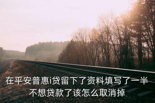 在平安普惠i貸留下了資料填寫了一半不想貸款了該怎么取消掉