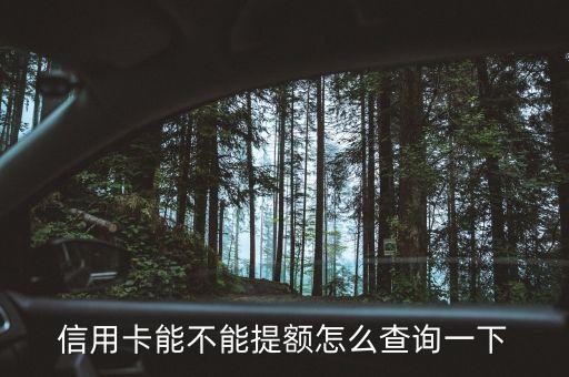 信用卡能不能提額怎么查詢一下