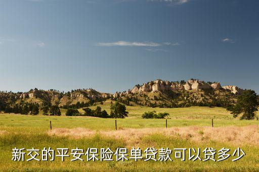 新交的平安保險保單貸款可以貸多少