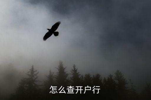 工商開戶行怎么查詢系統(tǒng)，工行開戶行怎么查