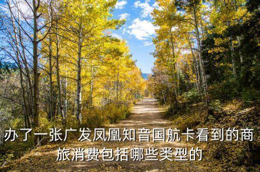 辦了一張廣發(fā)鳳凰知音國航卡看到的商旅消費包括哪些類型的