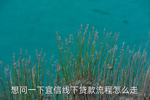 想問一下宜信線下貸款流程怎么走