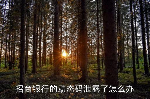招商銀行的動(dòng)態(tài)碼泄露了怎么辦