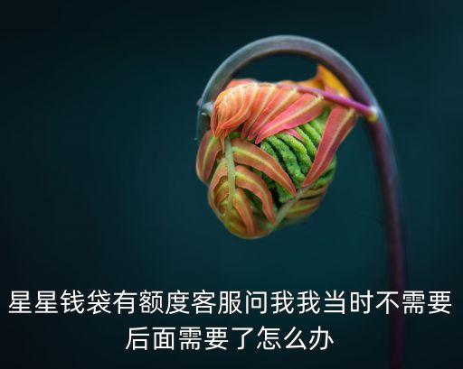 星星錢袋有額度客服問(wèn)我我當(dāng)時(shí)不需要后面需要了怎么辦