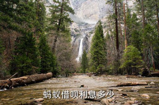 螞蟻借唄利息300怎么算，螞蟻借唄借300一天利息是多少