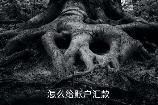 怎么給銀行賬戶轉(zhuǎn)賬，怎么給賬戶匯款