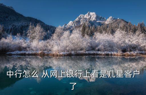 中行怎么 從網(wǎng)上銀行上看是幾星客戶了