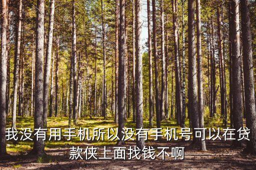 沒有手機卡怎么貸款，我沒有用手機所以沒有手機號可以在貸款俠上面找錢不啊