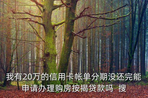 我有20萬(wàn)的信用卡帳單分期沒還完能申請(qǐng)辦理購(gòu)房按揭貸款嗎  搜