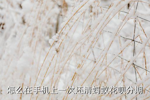 怎么在手機(jī)上一次還清螞蟻花唄分期