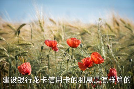 建設(shè)銀行龍卡信用卡的利息是怎樣算的