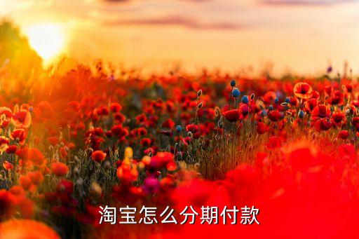 淘寶怎么分期付款