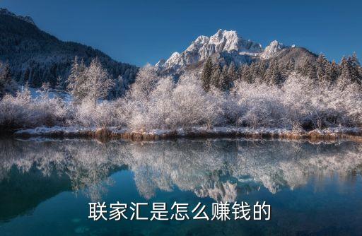 聯(lián)家匯是怎么賺錢的