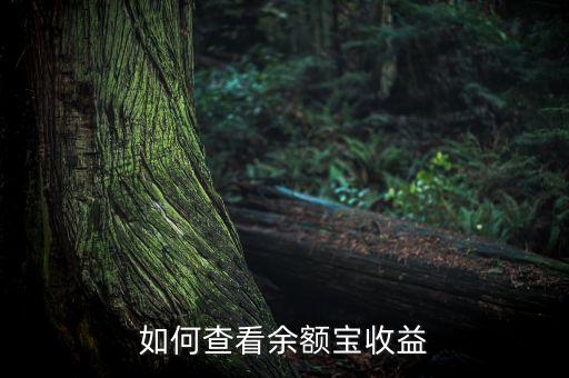 余額寶怎么查累計(jì)收益率，余額寶怎么看收益