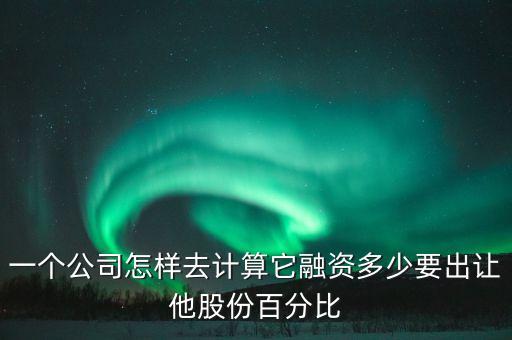 一個公司怎樣去計(jì)算它融資多少要出讓他股份百分比