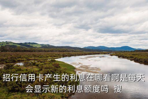 招行信用卡產(chǎn)生的利息在哪看啊是每天會(huì)顯示新的利息額度嗎  搜