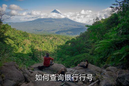 如何查詢銀行行號(hào)
