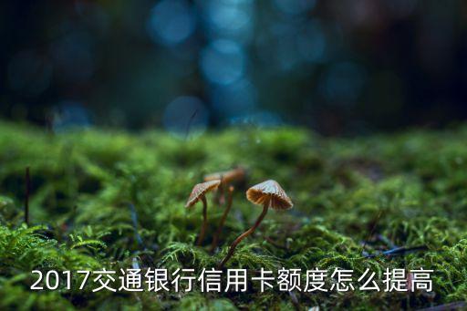 怎么提升好享貸，交通銀行信用卡剛出了臨時(shí)額度還能不能申請(qǐng)?zhí)犷~交行好享貸多少