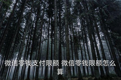支付限額怎么算，工商銀行支付上限每天1000是怎么算的比如
