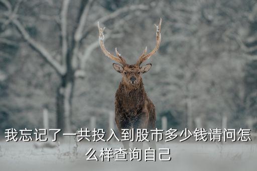 我忘記了一共投入到股市多少錢(qián)請(qǐng)問(wèn)怎么樣查詢自己
