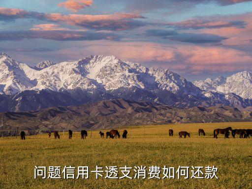 問(wèn)題信用卡透支消費(fèi)如何還款