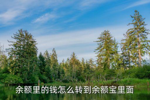 怎么將余額轉(zhuǎn)入余額寶，支付寶怎么把余額轉(zhuǎn)到余額寶